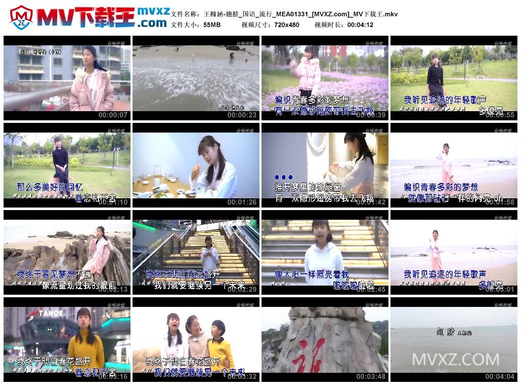 王橼涵-翅膀_国语_流行_MEA01331
